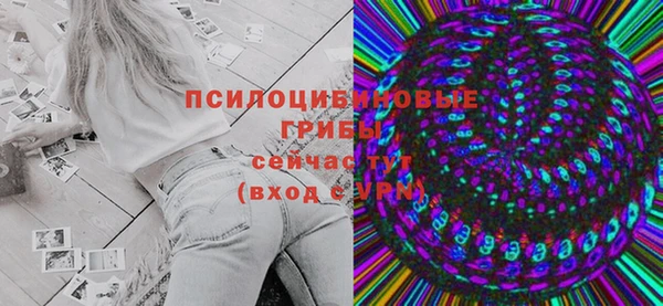 дживик Кропоткин