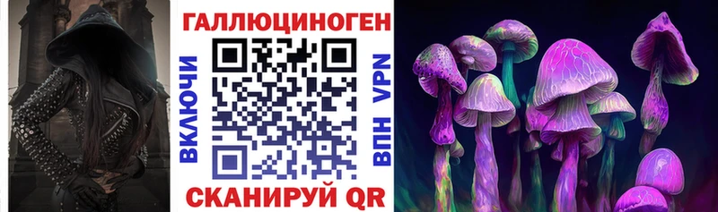 Псилоцибиновые грибы Cubensis  MEGA ссылка  Пустошка 